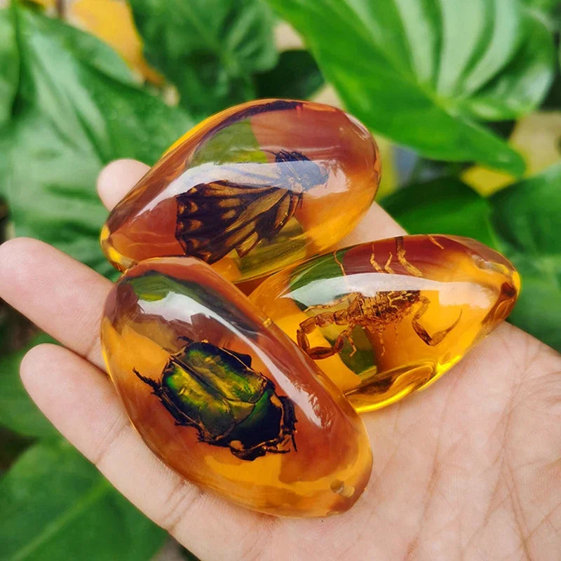 Scorpion Insect Amber Gemstone | Natural Mineral Stone Decor Amber Gemstone Specimen Peaceful Pleasures Health and Wellness