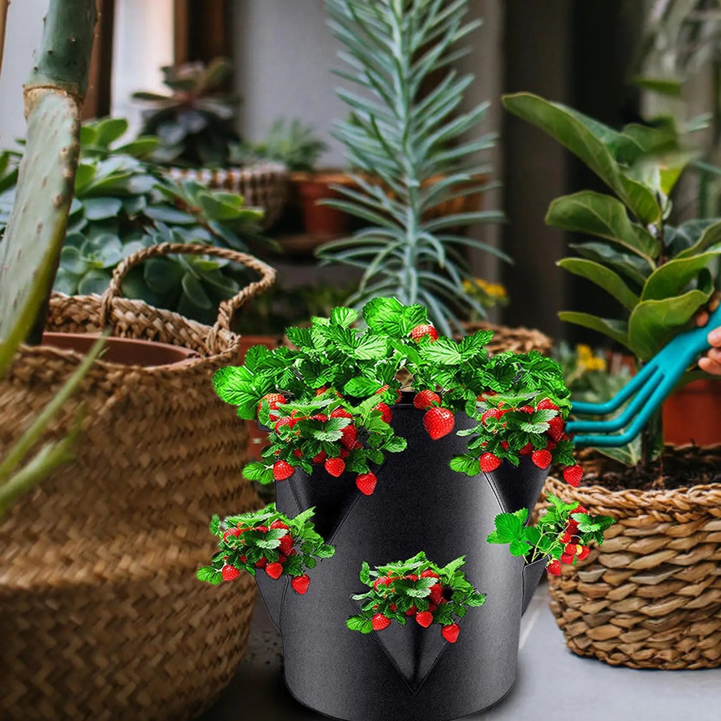 7 Gallon Strawberry Grow Bag with 6 Side Pockets | Planting Pot