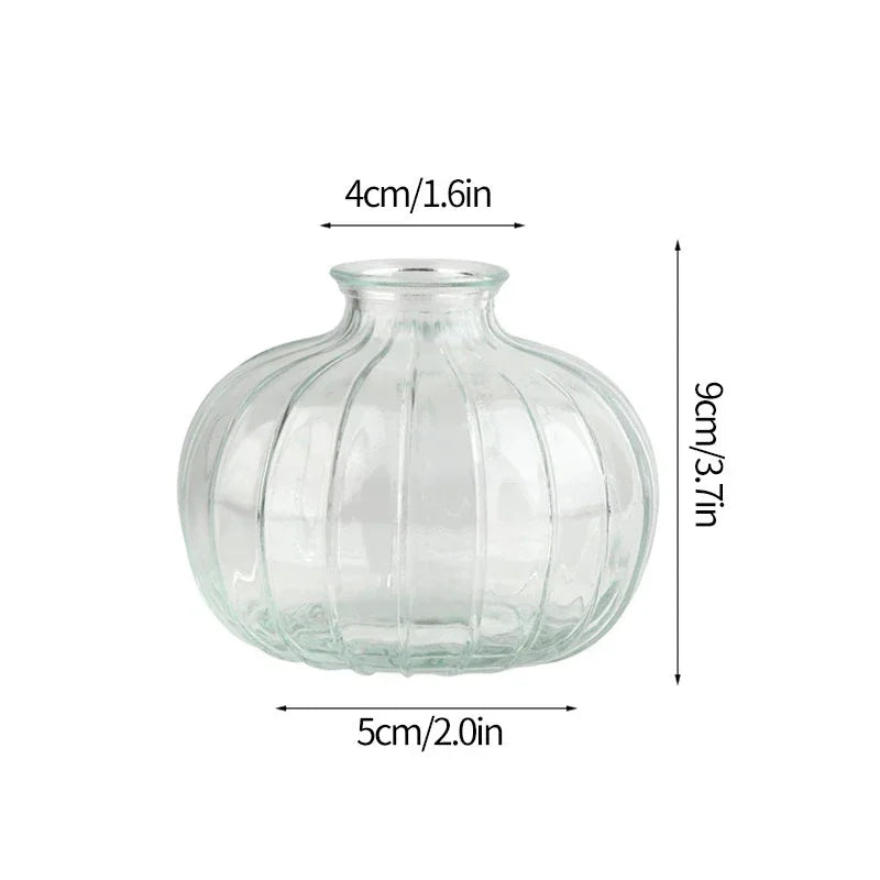 Vintage Transparent Glass Vase | Flower Bottle & Plant Pot
