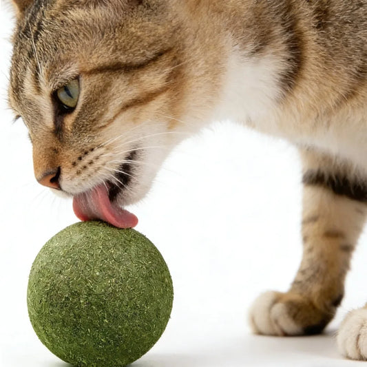 Natural Catnip Ball Toy – Teeth Grinding & Cat Enrichment Catnip Chew Toy Peaceful Pleasures Health and Wellness