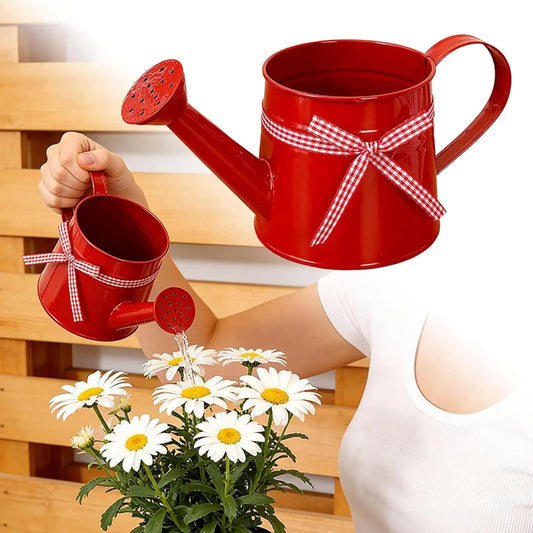 Mini Metal Watering Can – Decorative Indoor Plant Sprinkler 1L Decorative Watering Can Oasis Select