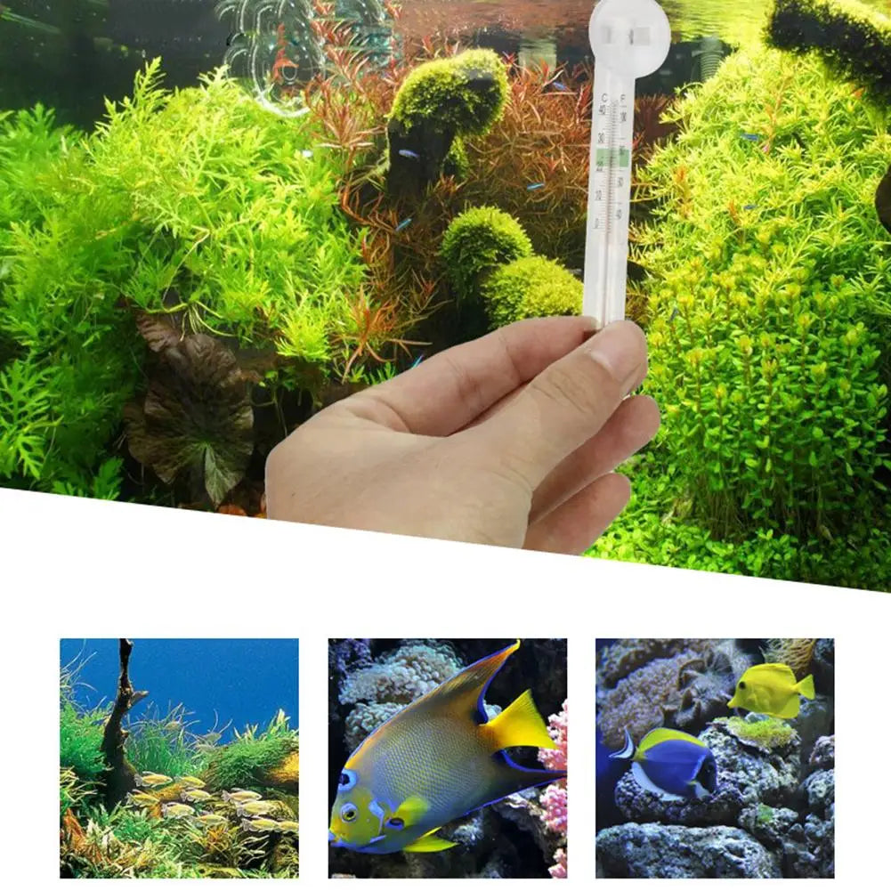 Digital Floating Aquarium Vertical Thermometer with Suction Cup Fish Tank Glass Temperature Measuring Tool Pet Supplies Peaceful Pleasures Health and Wellness