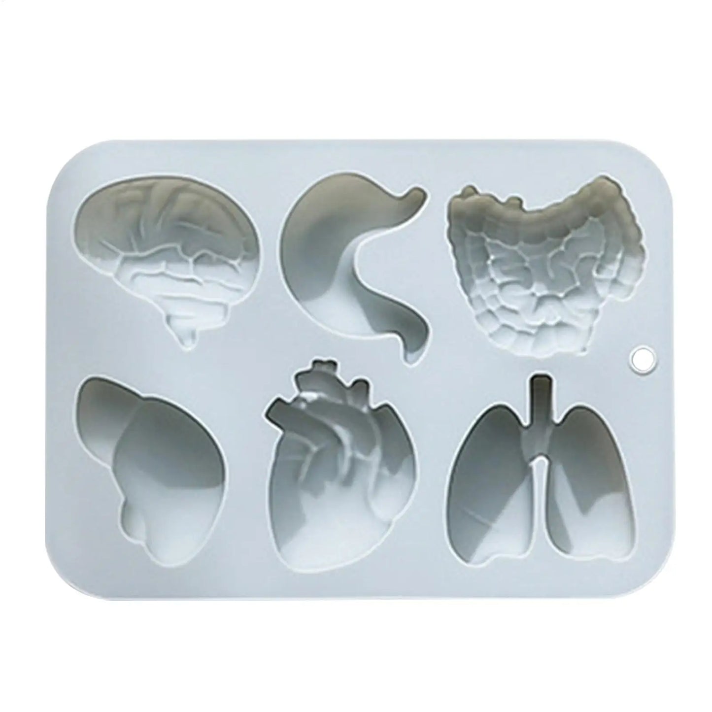 Halloween 3D Organ Silicone Mold – Chocolate, Candy & Ice Tray