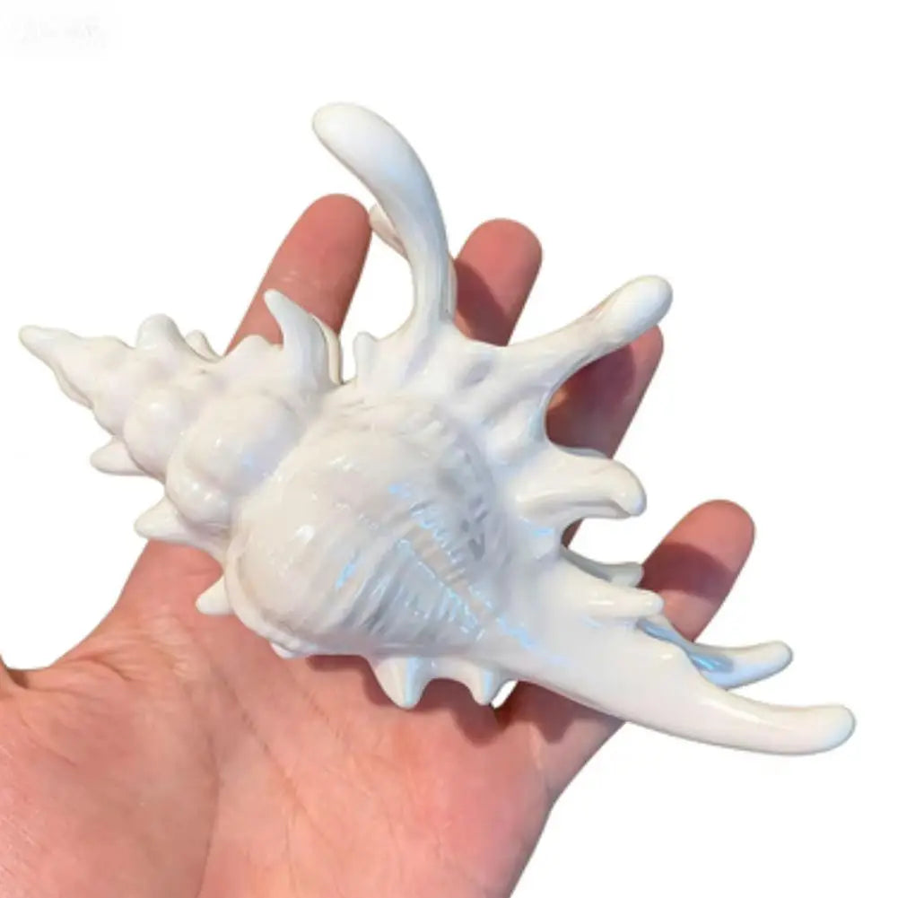 Acrylic Conch Hair Claw Clip | Large Seashell Clamp for Women