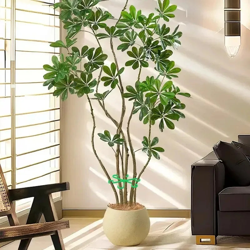 4PCS Plant Stem Support Stakes – Climbing Houseplant Trellis Hoops