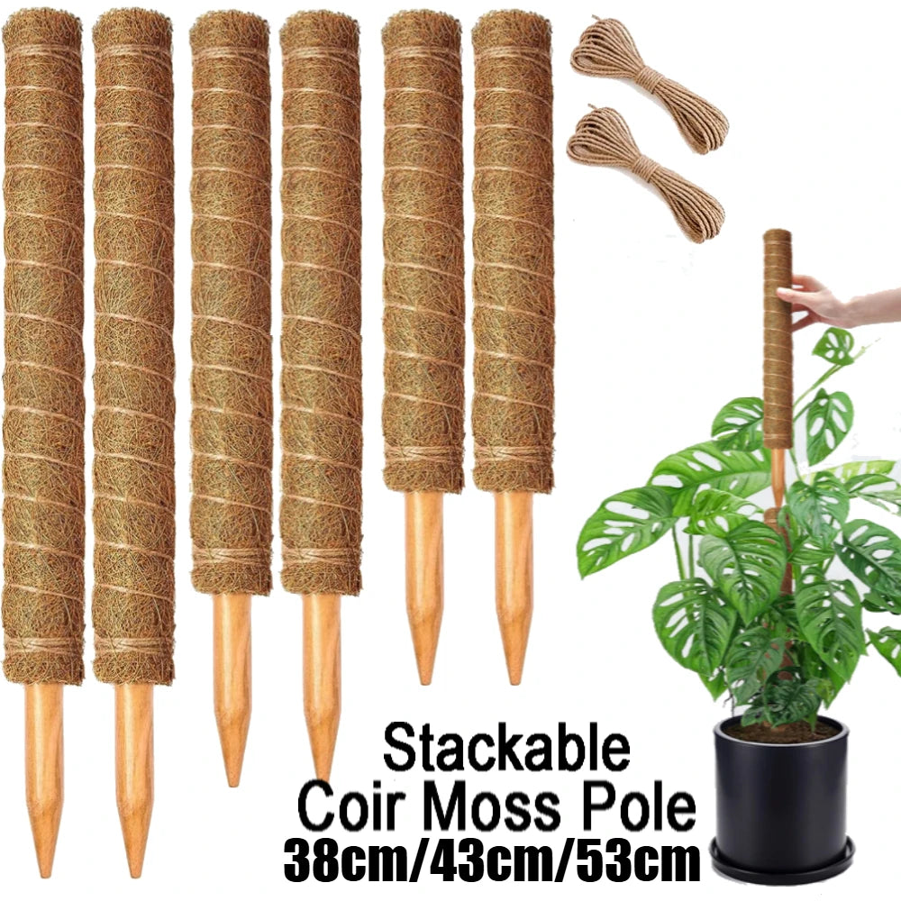 Stackable Moss Poles for Monstera & Climbing Plants (4/8 Pack)