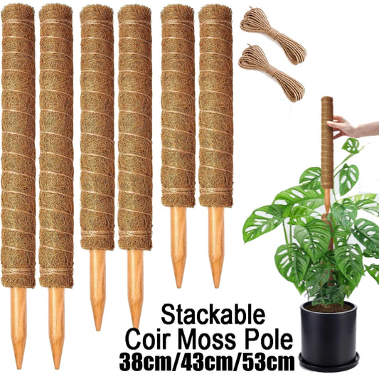Stackable Moss Poles for Monstera & Climbing Plants (4/8 Pack) Plant Support Stakes Peaceful Pleasures Health and Wellness