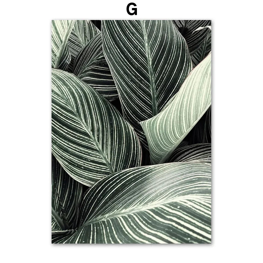 Sage Green Monstera Tropical Leaf Canvas Wall Art | Boho Print