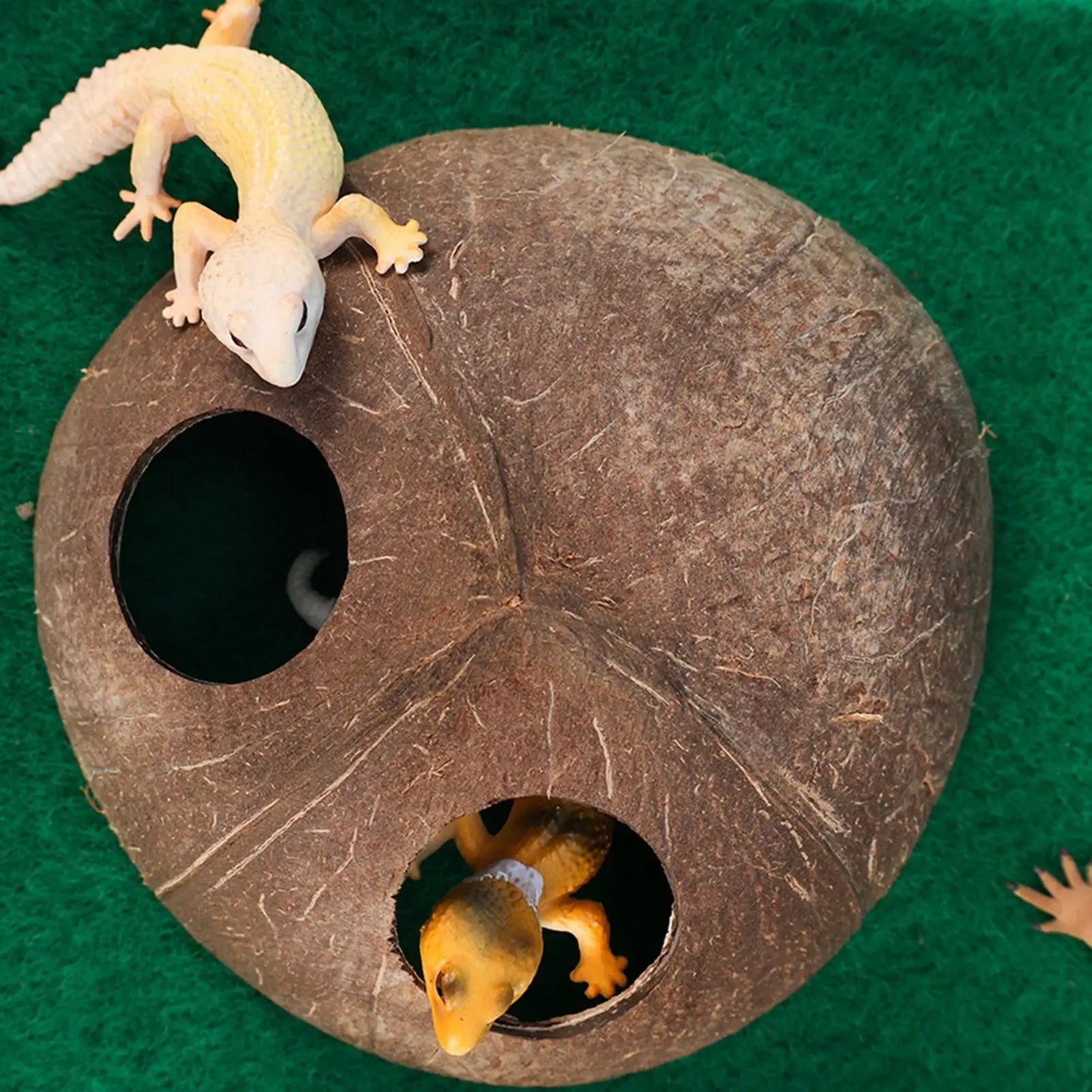 Natural Coconut Shell Reptile Hiding Cave | Terrarium Decor