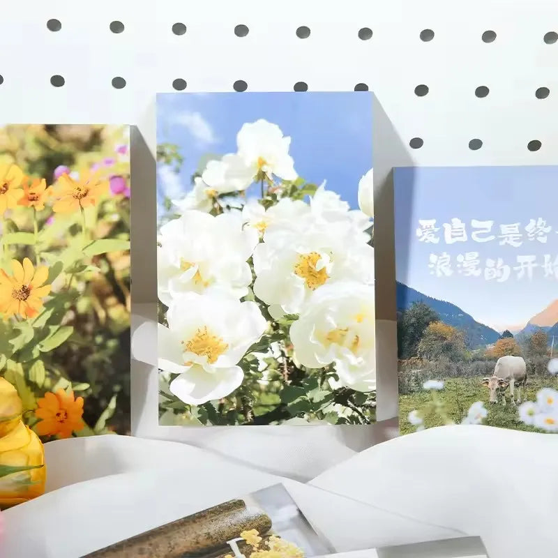 Preference Redemption Series Postcards Floral Scenes Greeting Cards