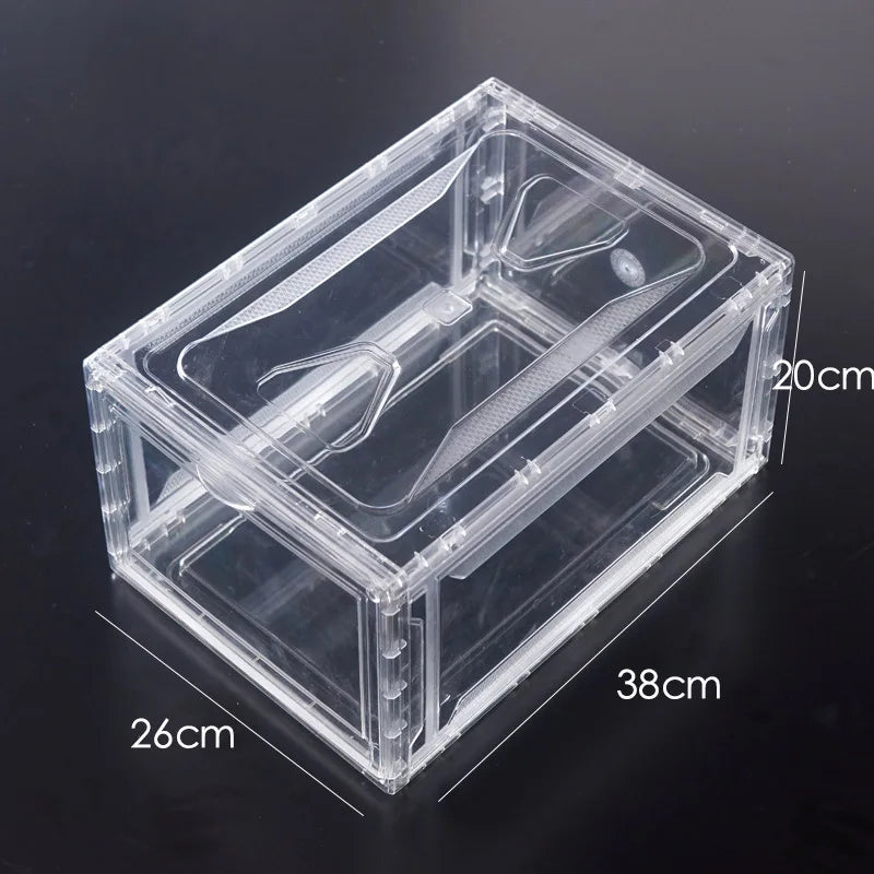 ‌Transparent Assembly Sneaker Organizer Flip Top Basketball Shoe Display Box Showcase Collectibles Unisex Home Décor Essential Peaceful Pleasures Health and Wellness Magnetic L Transpar