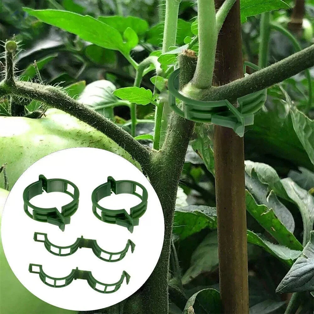 Plastic Plant Support Clips for Tomatoes & Climbing Plants Plant Support Clips Peaceful Pleasures Health and Wellness