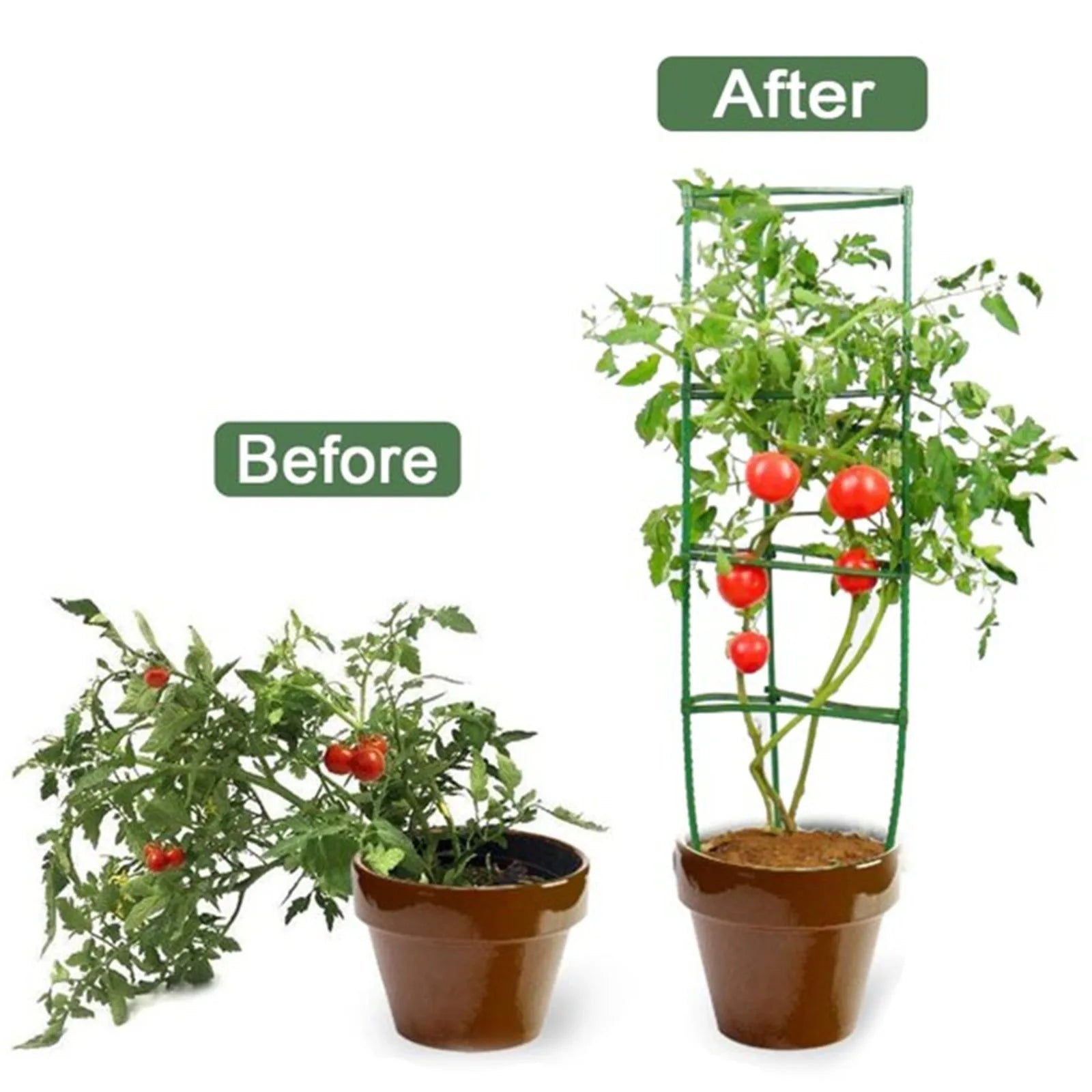 24pcs Garden Vegetable Stakes Plant Cages To Support Plant Growth Anti Overturning Tomato Cages For Vertical Climbing Of Plants Peaceful Pleasures Health and Wellness