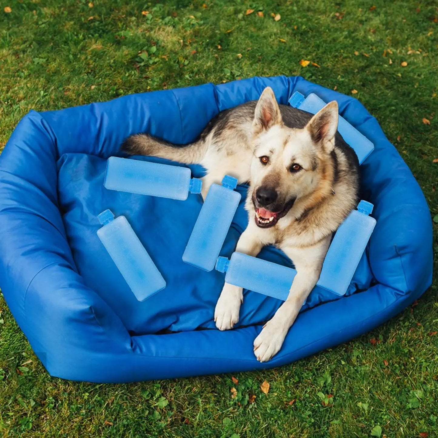 8-Pack Reusable PE Ice Packs | Long-Lasting Cooler Cooling