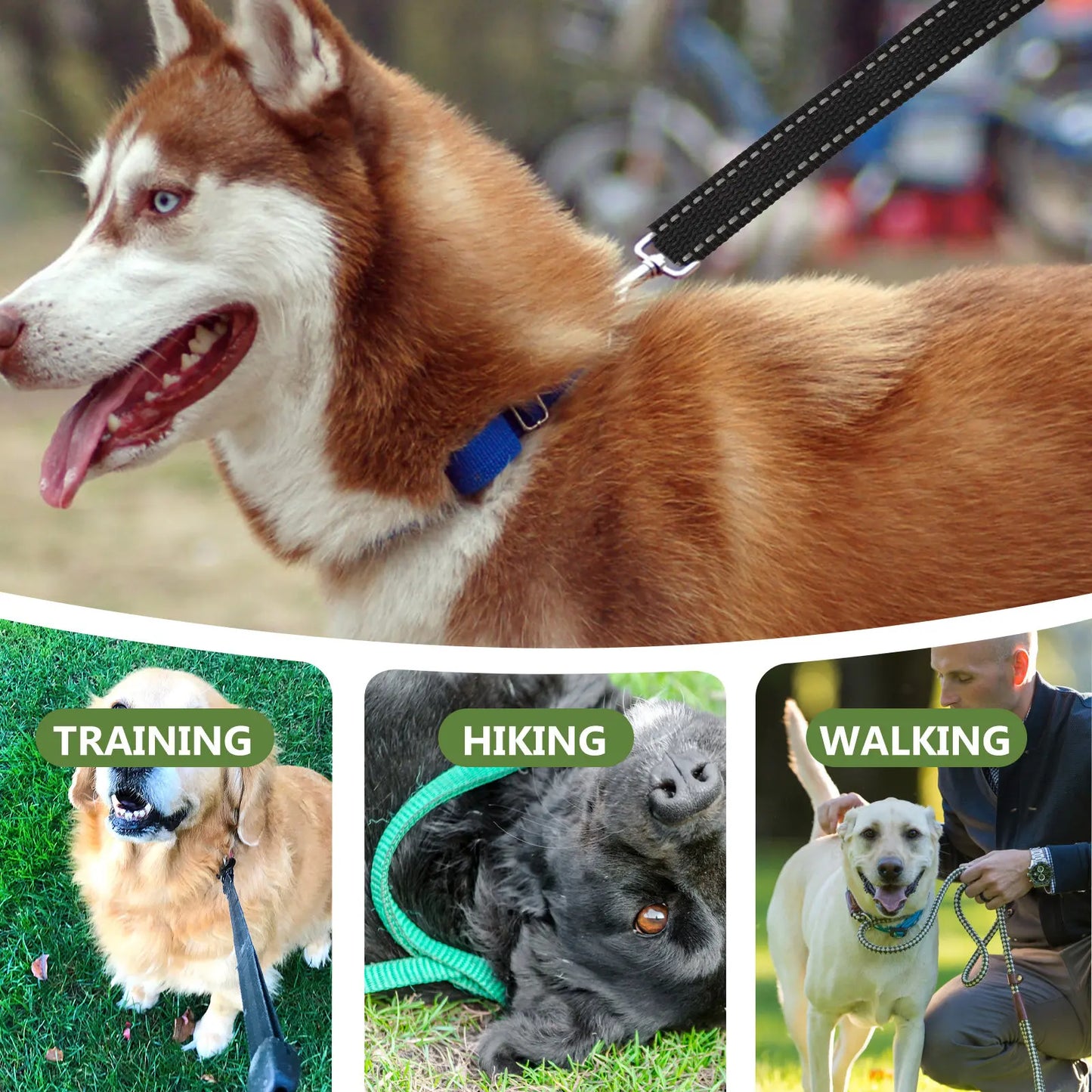 Training Dog Leash Rope Outdoor Dog Walking Rope Heavy Duty 360 Rotation Swivel Hook Multipurpose Pet Walking Leash Peaceful Pleasures Health and Wellness