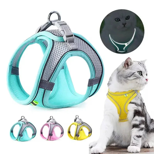 Cat Harness and Belt Set Breathable Accessories for Cats Pet Products Necklace Collar Pets Supplies Home Collars Things Cats Peaceful Pleasures Health and Wellness
