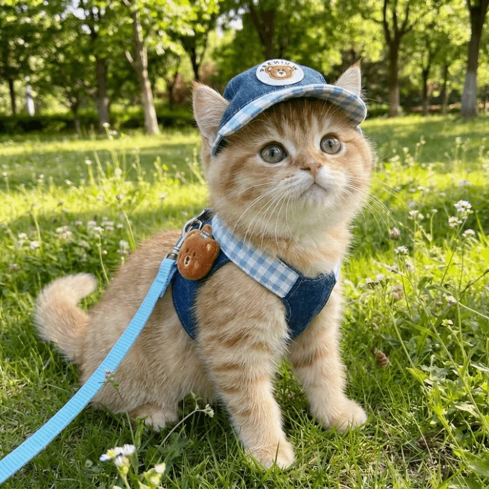 Breathable Dog & Cat Harness Leash Set with Hat | XS–XL