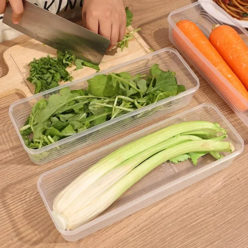 Fridge Herb & Scallion Storage Containers with Lids | 1–5 Pack