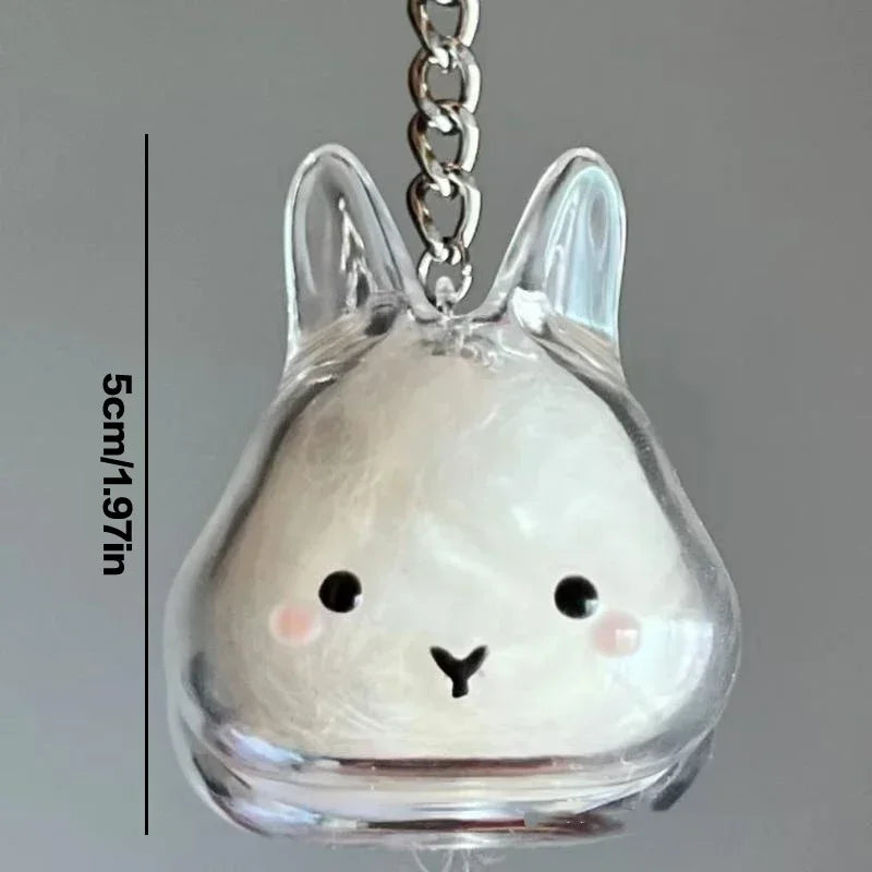 Pet Hair Keepsake Box Keychain – DIY Memorial Pendant Gift