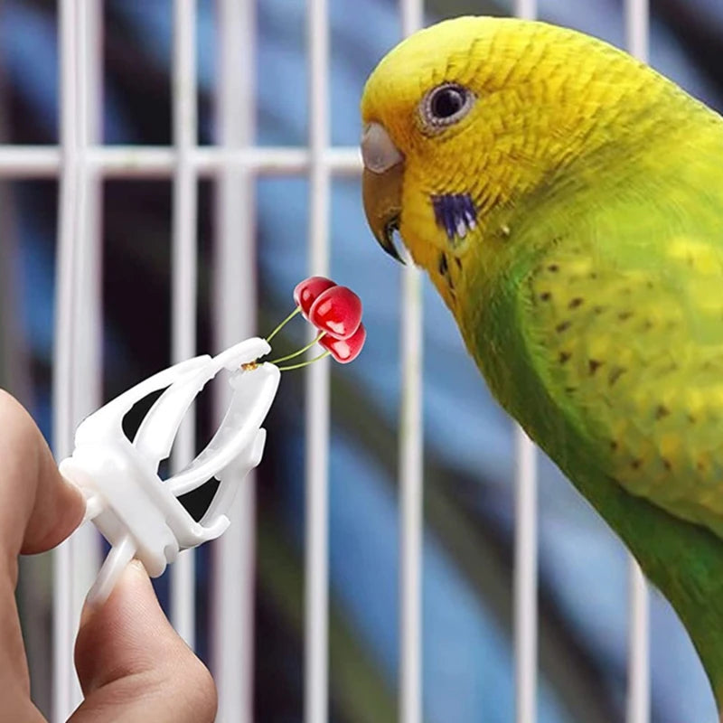 6pcs Bird Cage Accessories Birds Vegetable Clip Food Rack Parrot Clip Bird Thumb Box Bird Fruit Fork Bird Egg Holder Tray Peaceful Pleasures Health and Wellness