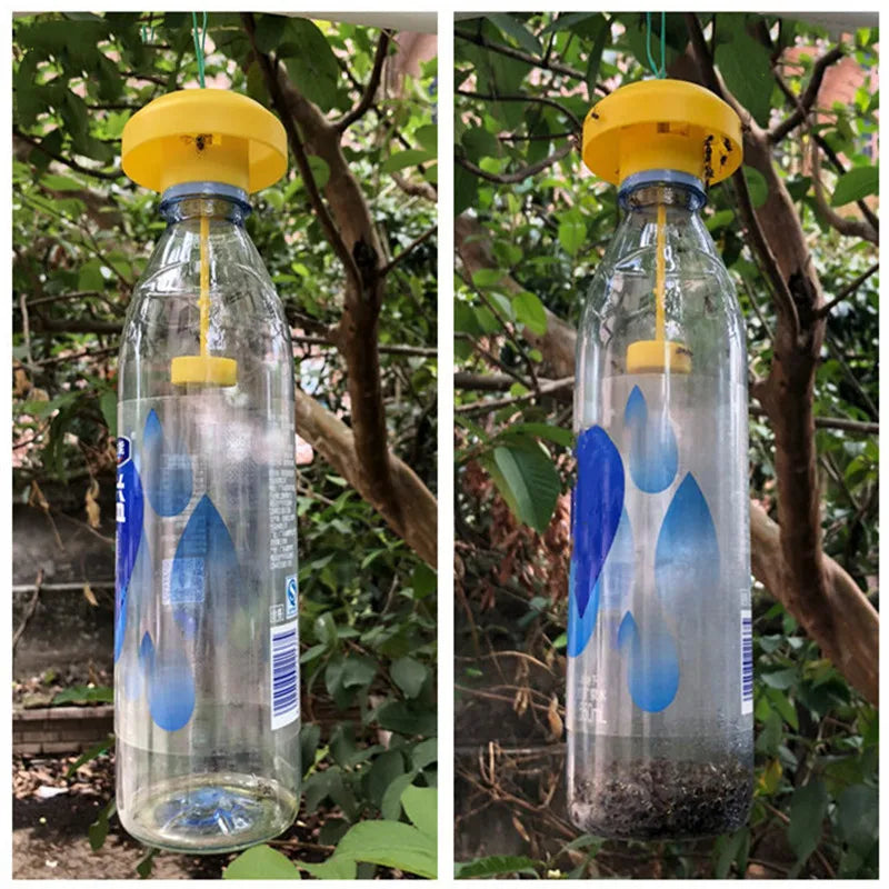 Fruit Fly Trap Cap | Drosophila Catcher for Home, Farm & Orchard