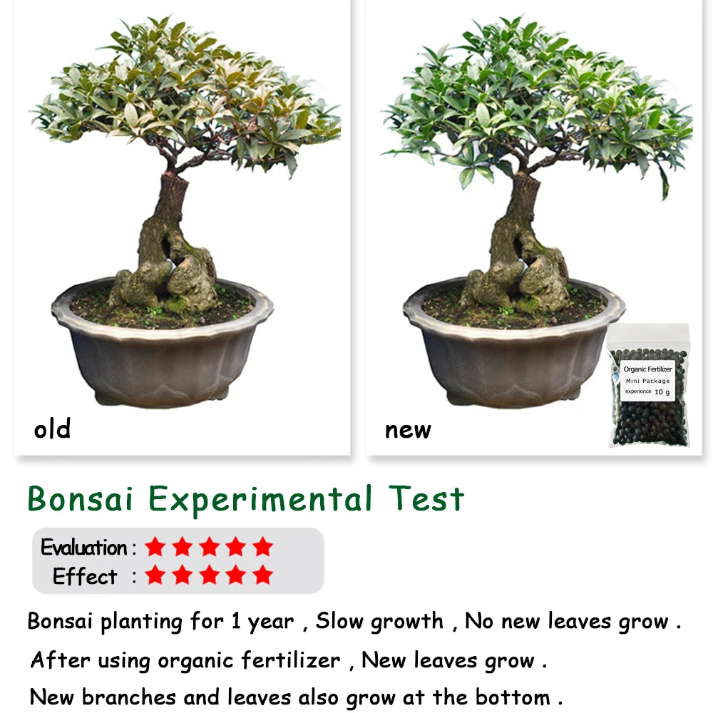10 G Organic Fertilizer Mini Package Green General Purpose Safe And Pollution Free Use Flower Plant Food For Garden Bonsai Peaceful Pleasures Health and Wellness