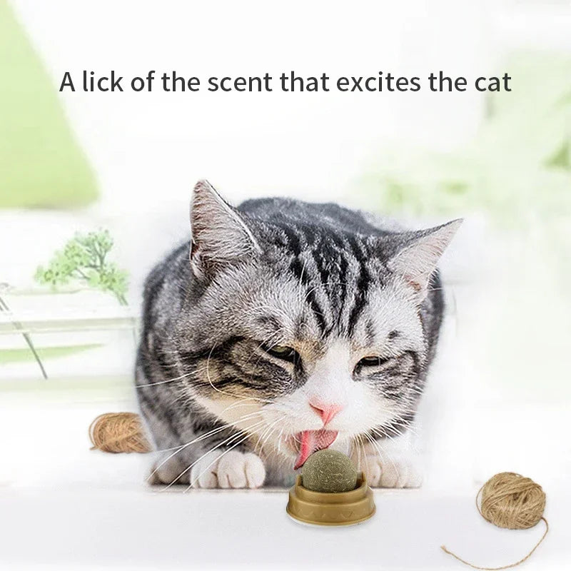 Rotating Catnip Ball Cat Toy – Interactive Lick & Scratch