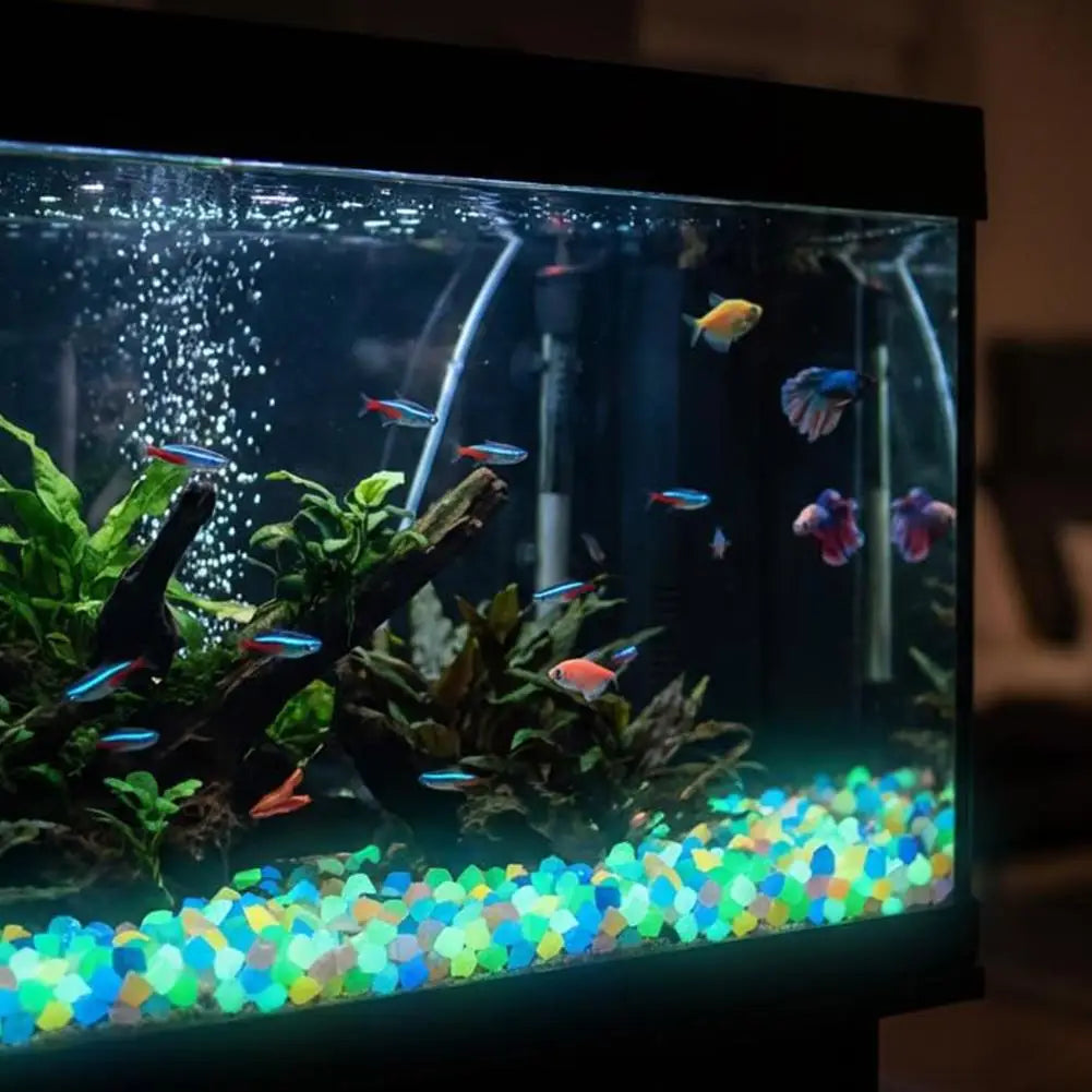Glow In The Dark Pebble Stones | Multicolor Luminous Garden Rocks