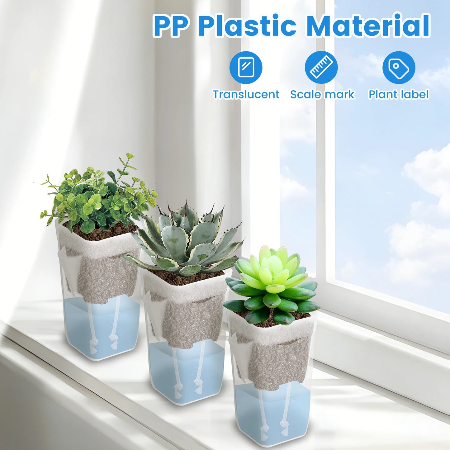 12-Pack Self Watering Mini Pots 2/2.5 Inch | Transparent Plastic