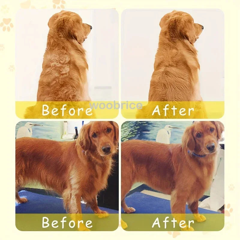 3-in-1 Electric Steam Pet Brush – Cat & Dog Grooming Comb