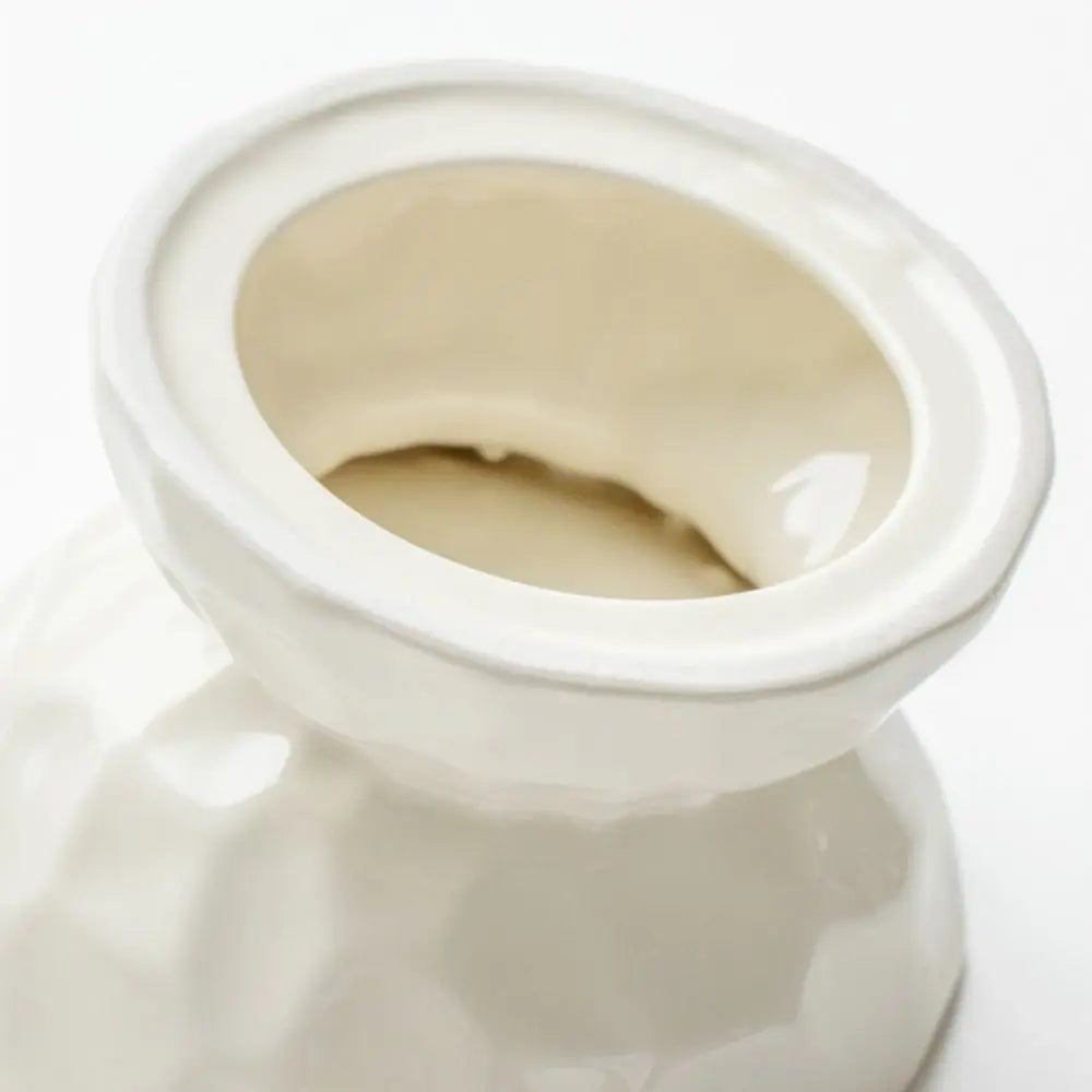 Ceramic Pet Bowl – Non-Slip Slanted & Flat Feeder for Cats & Dogs