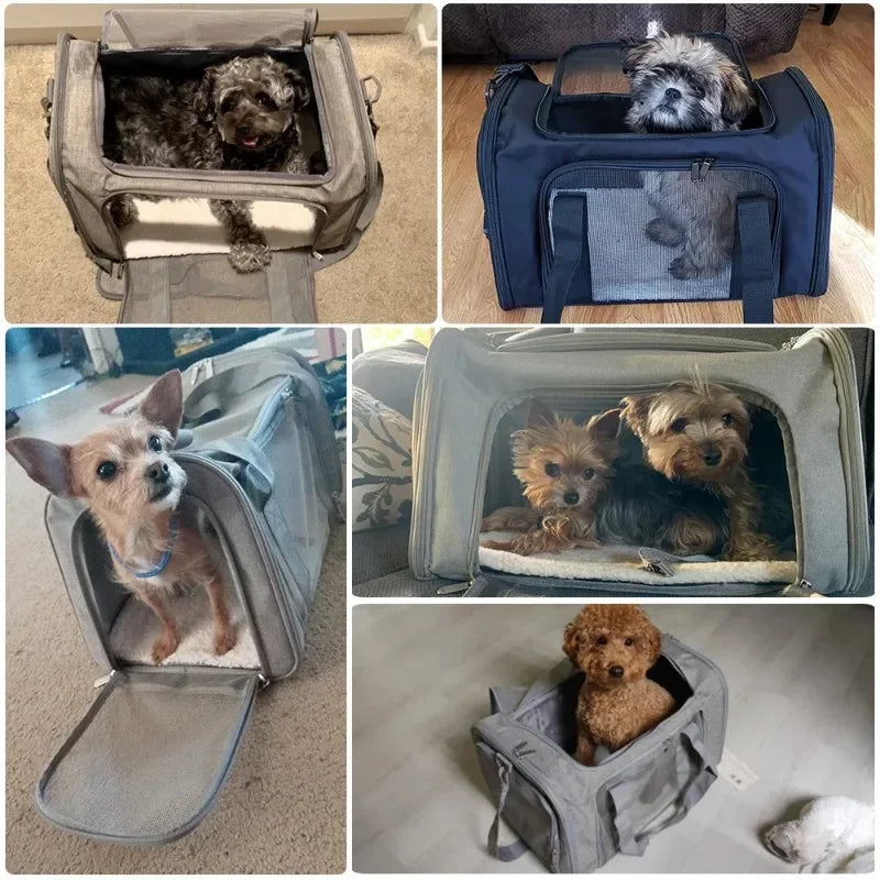 Airline Approved Pet Carrier Backpack for Small Dogs & Cats