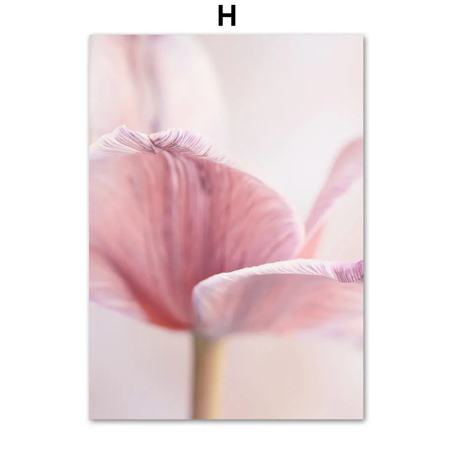 1pc frameless Canvas painting Spring Pink Rose Peony Sakura Dandelion Orchid Sparrow Car Garden Posters Flower Wall Art Canva Peaceful Pleasures Health and Wellness