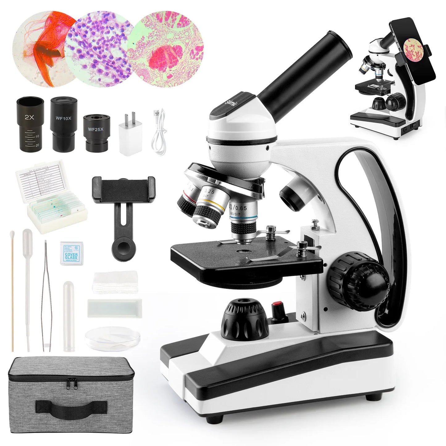 Biological Microscope for Convenient Movement of Specimens 40-640X Optical Microscope Peaceful Pleasures Health and Wellness 40X-640X