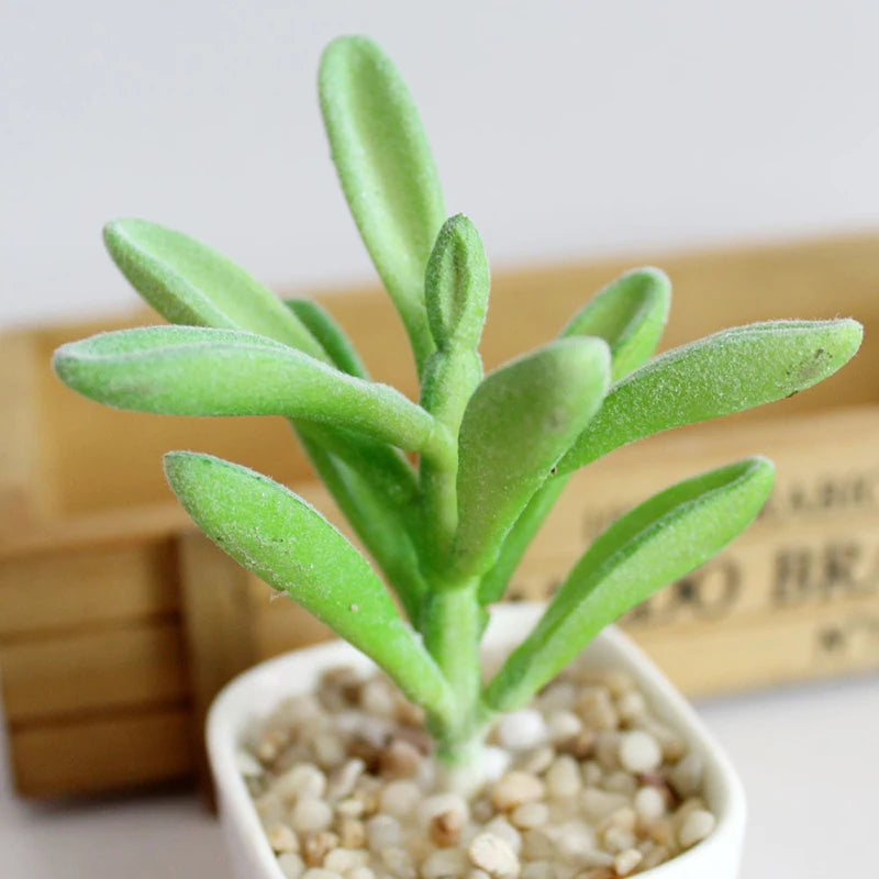 Artifical Plastic Succulent Plant Realistic Textured Cactus Mini Faux