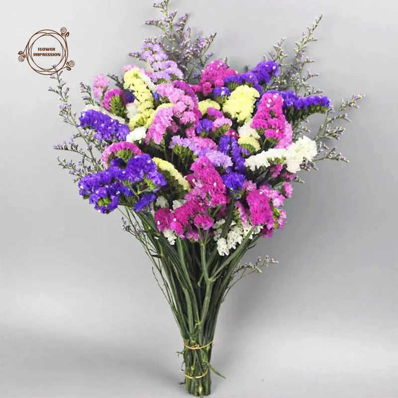 Natural Dried Forget-Me-Not Limonium Bouquet | Boho Home Decor