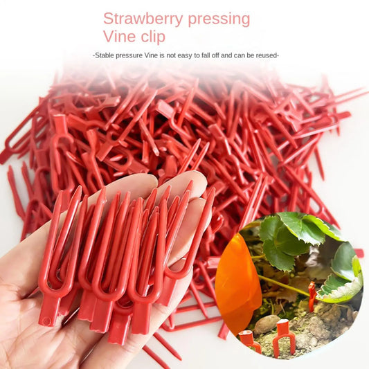 100-Pack Garden Plant Pins – Vine & Strawberry Stem Clips Garden Plant Pins Oasis Select