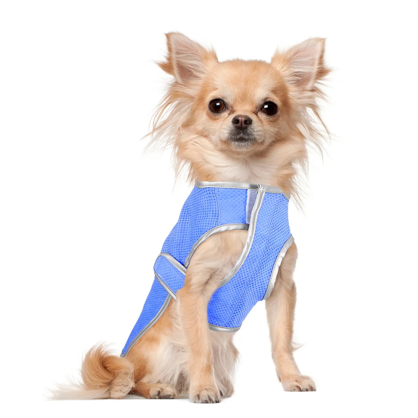 Dog Cooling Vest Puppy Cooling Waistcoat Size S Lightweight Pva Technology Comfortable Breathable Pet Supply Shirt Peaceful Pleasures Health and Wellness