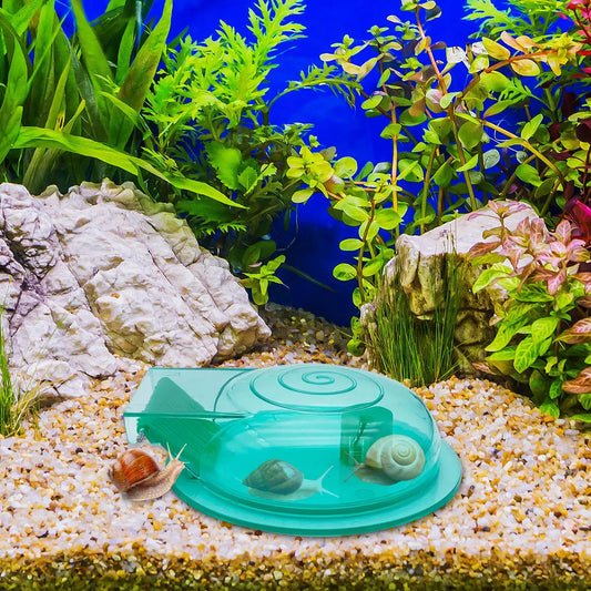 Aquarium Snail Trap – Transparent Snail Catcher for Fish Tanks Aquarium Snail Trap Peaceful Pleasures Health and Wellness Default Title