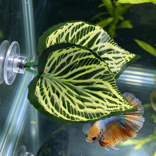 Betta Fish Leaf Hammock – Resting Bed & Aquarium Decor Aquarium Decoration Oasis Select