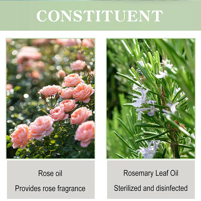 Rose Antiperspirant Deodorant Cream – Long-Lasting Body Care