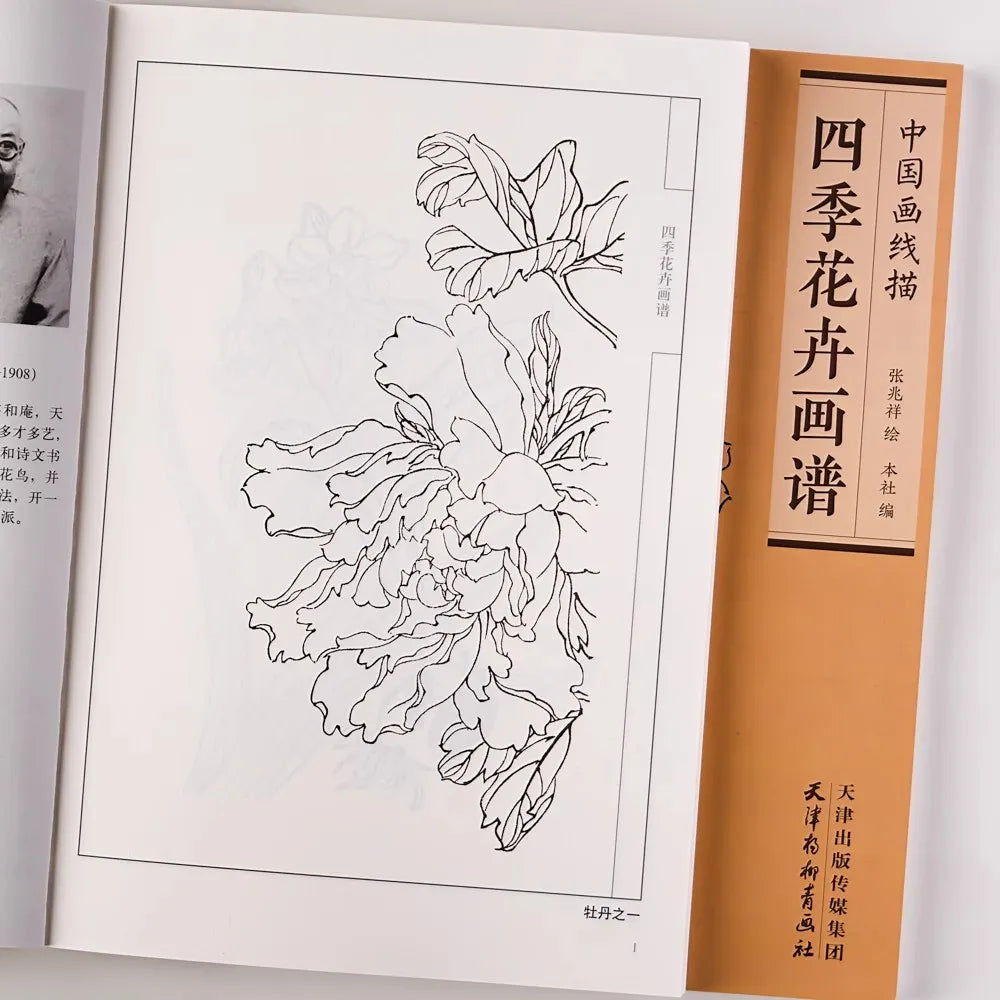 94Pages Flowers All Seasons Chinese Line Drawing Collection Coloring
