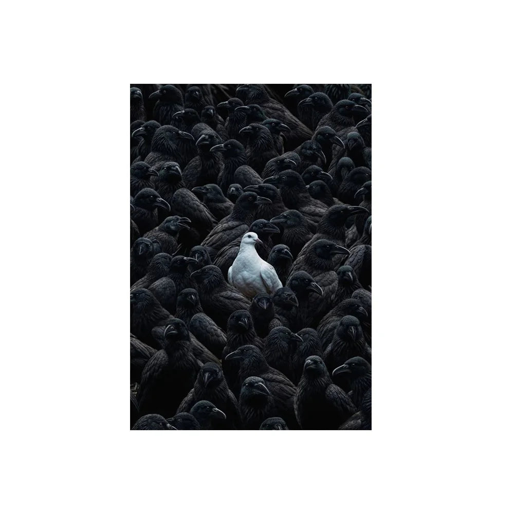 Black Sheep in Flock Wall Art Poster Black Pigeon in Pigeon Flock Canvas Art Prints Car in Flock Decor Picture Canvas Paintin Peaceful Pleasures Health and Wellness 4 50x70cm