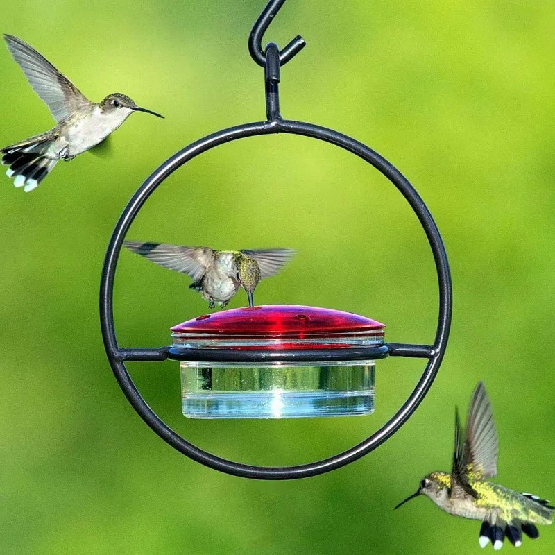 Household Hanging Hummingbird Feeder Large Capacity Metal Hanging Hummingbird Feeder Suitable for Patio and Deck Peaceful Pleasures Health and Wellness