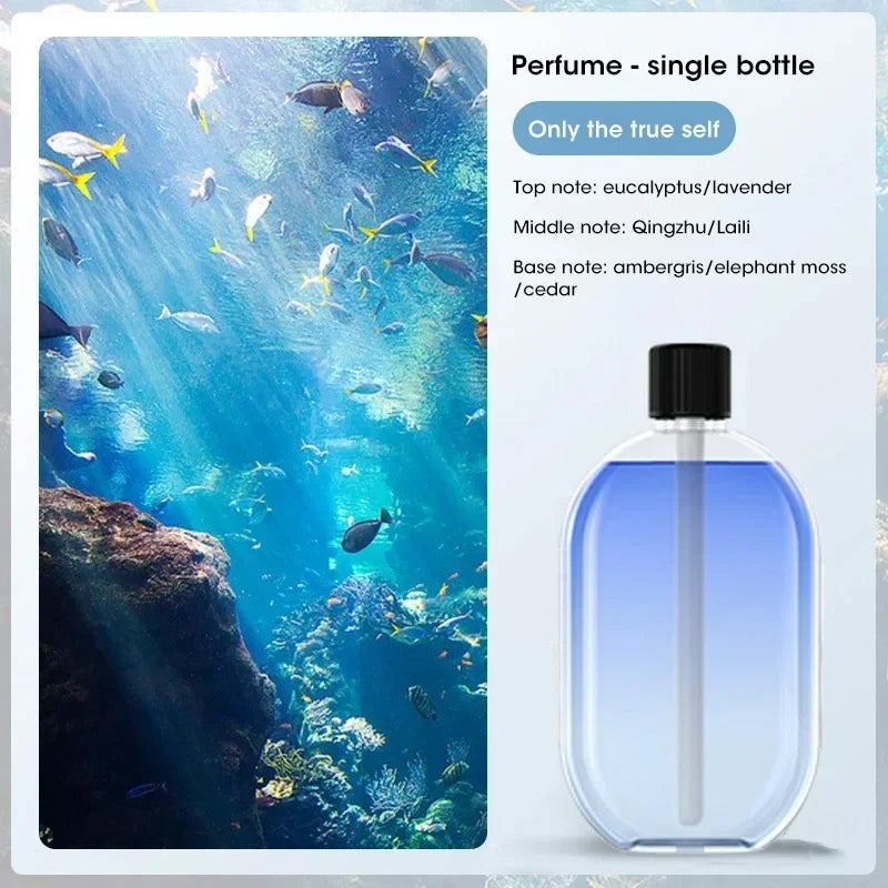 Automatic Home Fragrance Machine Essential Oil Diffuser Nebulizer Perfume Scent Machine for Kitchen and toilet deodorization Peaceful Pleasures Health and Wellness Real Me Oil