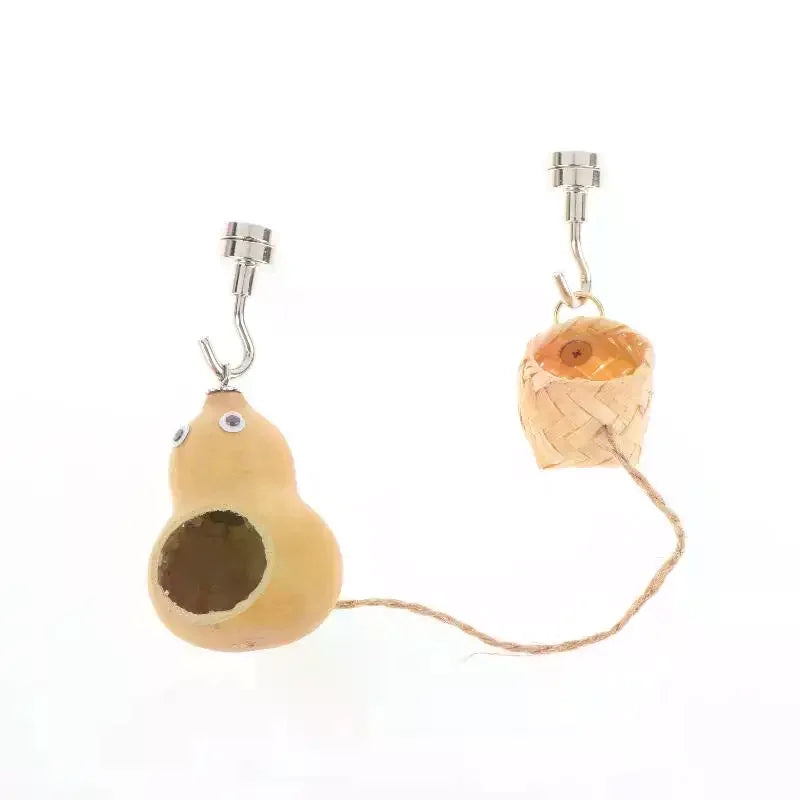 Natural Gourd Jumping Spider House | Magnetic Hanging Hideout