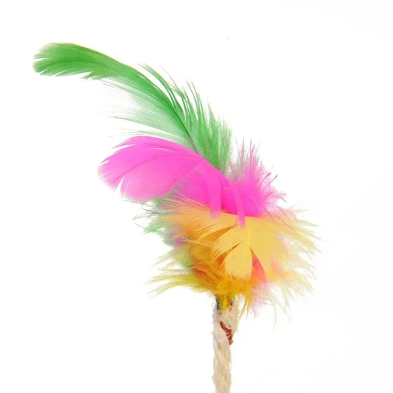 1-3pcs Feather Toys Training Kittens Pet Cat's Accessories Scratching Ball Things for Cats Supplies Products Home Garden Peaceful Pleasures Health and Wellness
