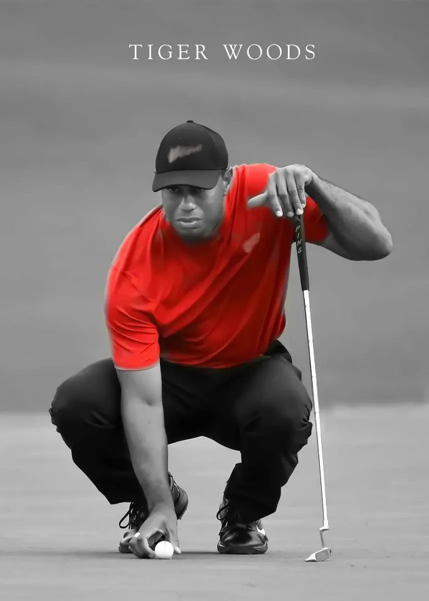 Tiger Woods Golf Portrait Canvas Wall Art | Fan Gift Poster