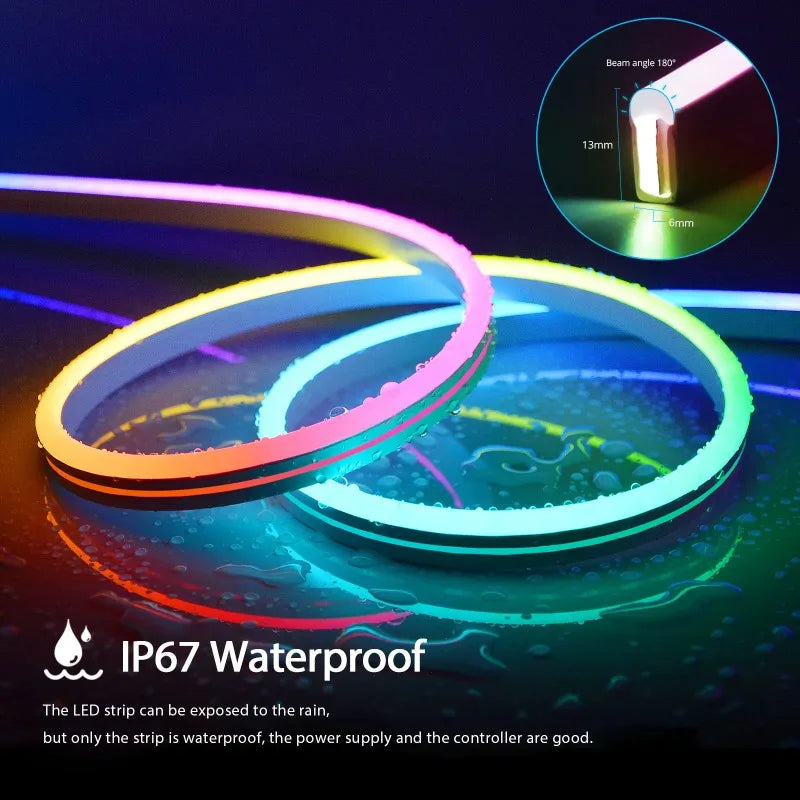 RGBIC Neon LED Strip Light Bluetooth App Control USB Waterproof