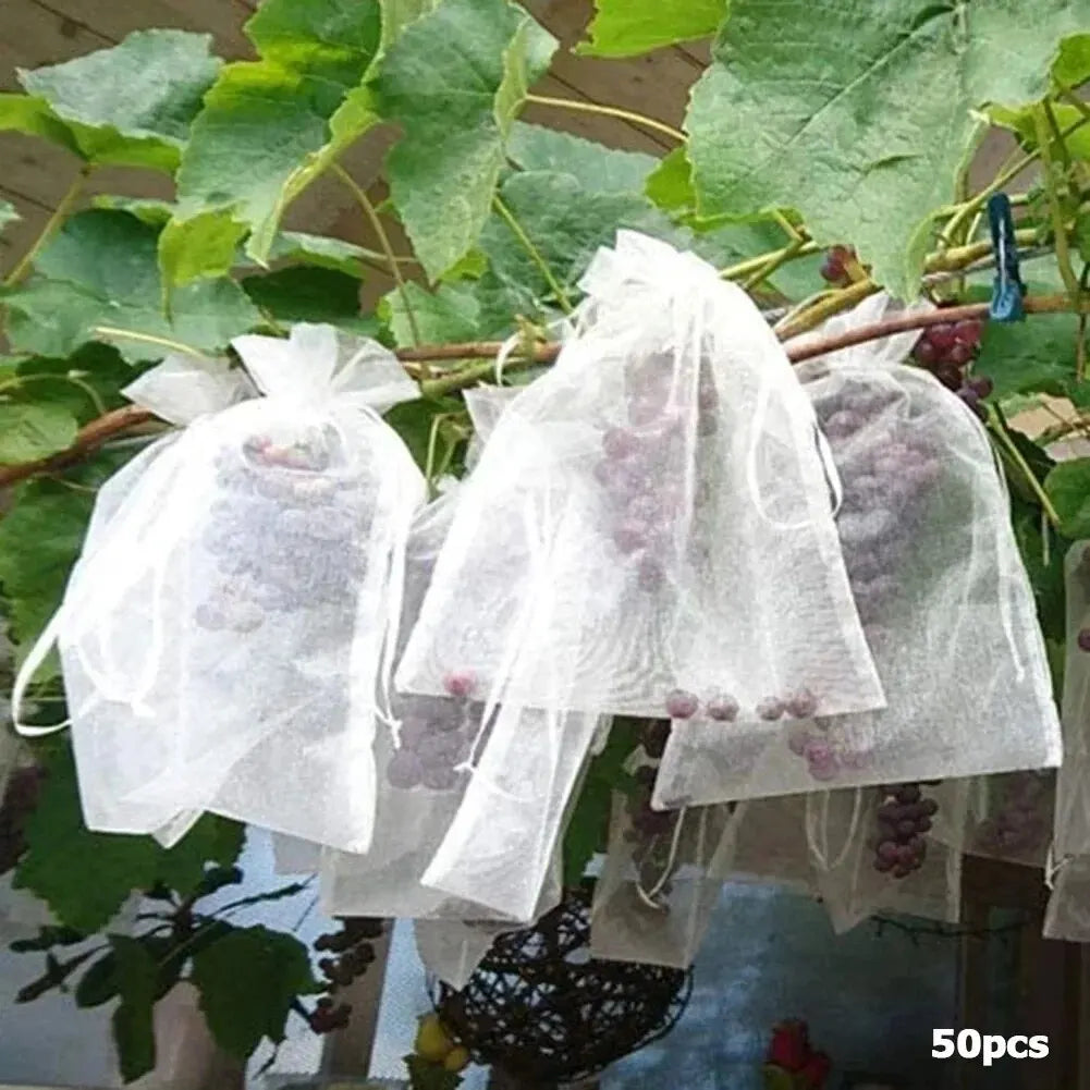 50pcs Fruit Netting Bags – Anti-Bird Mesh Garden Covers